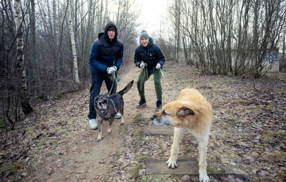 Zenit-2 and Zenit Women visit a local dog shelter