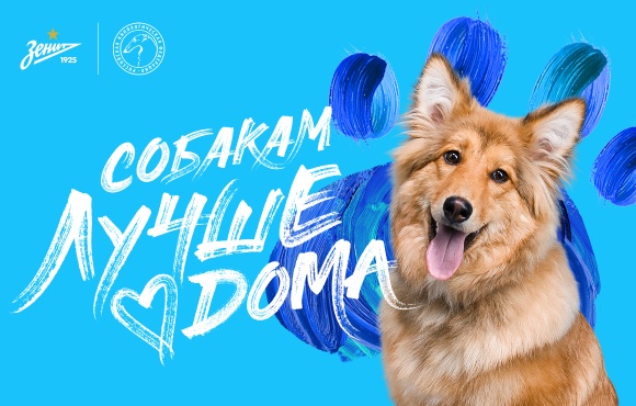 Dogs are Better at Home! The latest community project from Zenit