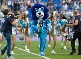Zenit-TV: A day in the life of our Zenit lion